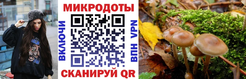 хочу   kraken   Псилоцибиновые грибы Magic Shrooms  Торопец 